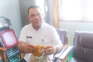 Terobosan Bupati dan Wabup, DTPH Batanghari Ajak Petani Budidayakan Talas Beneng