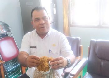 Terobosan Bupati dan Wabup, DTPH Batanghari Ajak Petani Budidayakan Talas Beneng