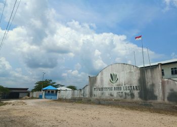 Bangkitnya Pabrik Kelapa Sawit PT PAL dengan Manajemen Baru Sudah Dinantikan Masyarakat