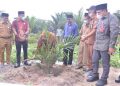 Bupati Muarojambi Menghadiri Halal Bihalal, Tanam Perdana, Penaburan Pupuk Serta Peremajaan Sawit