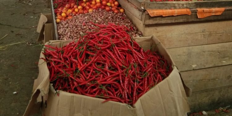 Harga Cabe Sudah Turun Separuh Harga