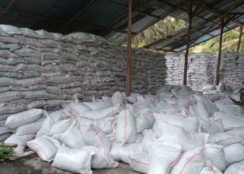Desa Ini Produksi Pupuk Kompos 100 Ton Tiap Bulannya