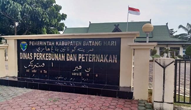 Pemkab Batanghari Akan Dapatkan Jatah Vaksin PMK Sebanyak 4200 Dosis