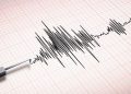 Gempa Bermagnitudo 4,8 Guncang Halmahera Barat Tengah Malam Ini