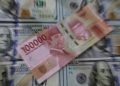 Rupiah Perkasa Rp15.582 Per Dolar As Usai Bi Kerek Suku Bunga Acuan