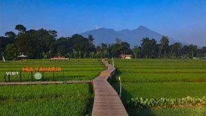 7 Anjuran Kawasan Tahun Gres 2023 Di Bogor, Seru Dan Murah Semarak