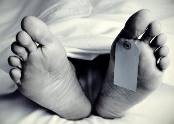 9 Orang Tewas Dalam Ledakan Truk Pembawa Bbg Dekat Johannesburg Afsel