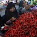 Harga Telur Sampai Cabai Kian Mahal Jelang Tahun Gres