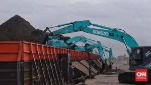 Menengok Jejak Harga Batu Bara Yang Berkilau Sepanjang 2022