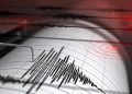 Gempa Magnitudo 4,0 Guncang Nagekeo Ntt