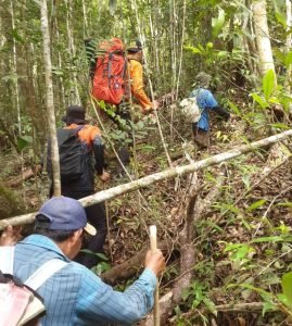 7 Hari Pencaharian Tak Ditemukan, Tim SAR Gabungan Hentikan Pencarian Kakek Hilang di Kerinci