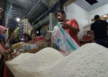 Beras Ikut Pupuk, Harganya Mulai Mahal. Pengamat Cemaskan Problem Kemiskinan