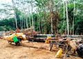 Ilegal Drilling di Batanghari Masih Terus Beroperasi, Ribuan Drum Minyak Illegal Drilling Mengalir Tiap Hari