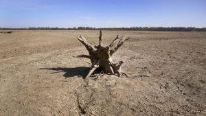 Nasa Sebut 2022 Tahun Terpanas Ke-5 Sepanjang Sejarah