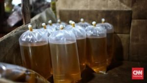 Wilmar Sorot Permendag Ikut Andil Picu Kelangkaan Minyak Goreng 2022