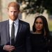Cucu Nelson Mandela Jengkel Ke Harry Dan Meghan Markle