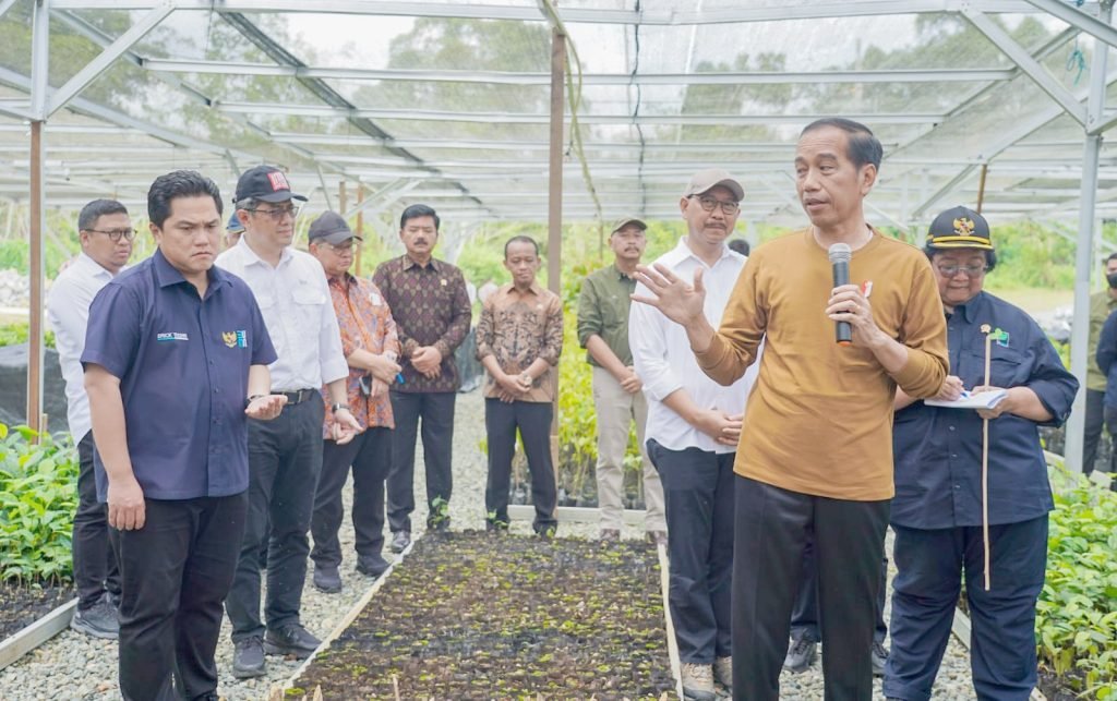 Jokowi: Konsep Besar IKN untuk Lingkungan, Dimulai dari Persemaian Mentawir