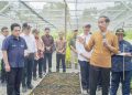 Jokowi: Konsep Besar IKN untuk Lingkungan, Dimulai dari Persemaian Mentawir