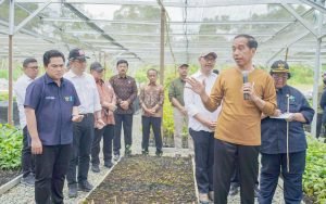 Jokowi: Konsep Besar IKN untuk Lingkungan, Dimulai dari Persemaian Mentawir