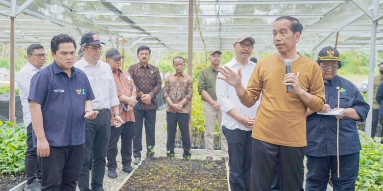 Jokowi: Konsep Besar IKN untuk Lingkungan, Dimulai dari Persemaian Mentawir