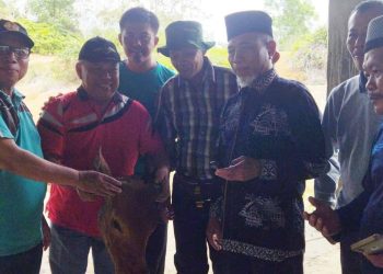Sambut Ramadan 1444 H, PKJM Beri Hadiah Kepala Sapi Buat Mashuri