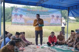 Kondisi Tangan Berbalut perban, Fadhil terlihat Panen Raya Bersama Masyarakat