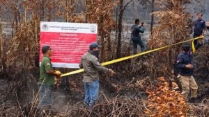 Dirjen Gakkum KLHK Segel Langsung Karhutla di Perusahaan Singapura Ini