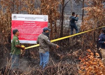 Dirjen Gakkum KLHK Segel Langsung Karhutla di Perusahaan Singapura Ini