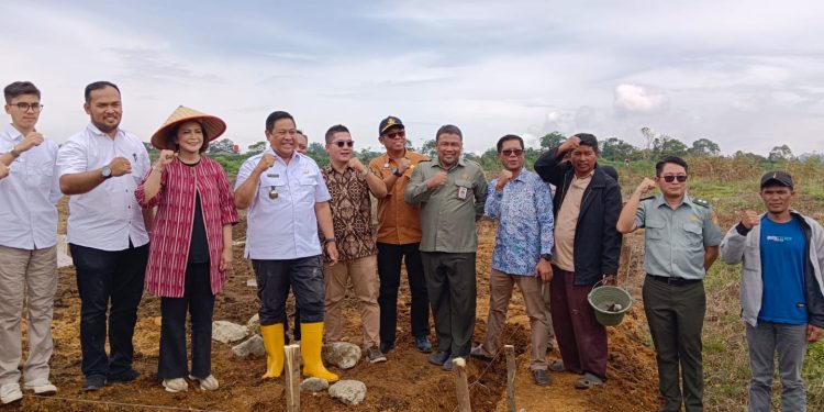 BBPPTP Medan Serahkan 100.000 Batang Kopi ke Pemkab Dairi