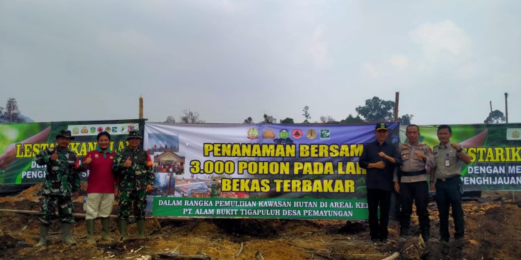 Pulihkan Lokasi Bekas Karhutla, PT ABT Tanam 3.000 Batang Pohon Beragam Jenis Tanaman