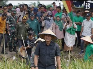 Berhasil Turunkan Angka Kemiskinan, Bupati Batanghari Terima Penghargaan dan Dana Insentif Fiskal dari Wapres RI