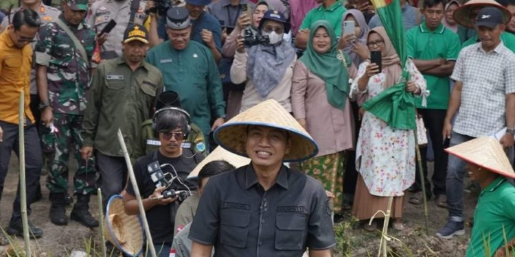 Berhasil Turunkan Angka Kemiskinan, Bupati Batanghari Terima Penghargaan dan Dana Insentif Fiskal dari Wapres RI