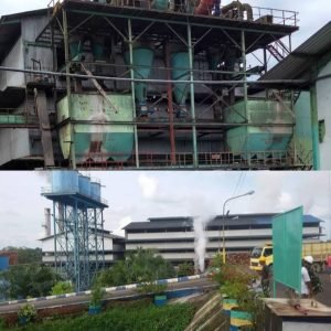 Waduh, Anak Usaha Sinarmas dan Wilmar di Merangin Abaikan Harga TBS Ketentuan Disbun