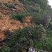 Tanah longsor yang menutup jalan Desa Tiaro, Kecamatan Muara Siau. (DETAIL/ist)