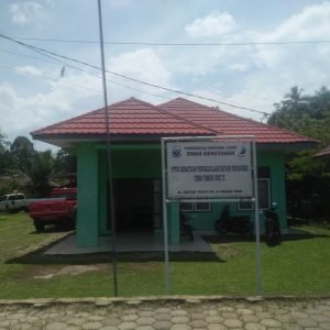 Oknum Pegawai KPHP Tebo Timur Diduga Bayarkan Gaji Honorer Tidak Sesuai Nama dalam SK