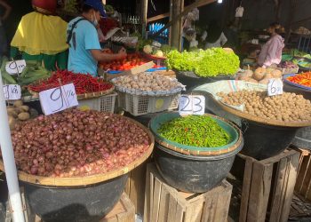 Harga cabai merah di Kota Medan semakin "pedas" seiring dengan seringnya turun hujan.