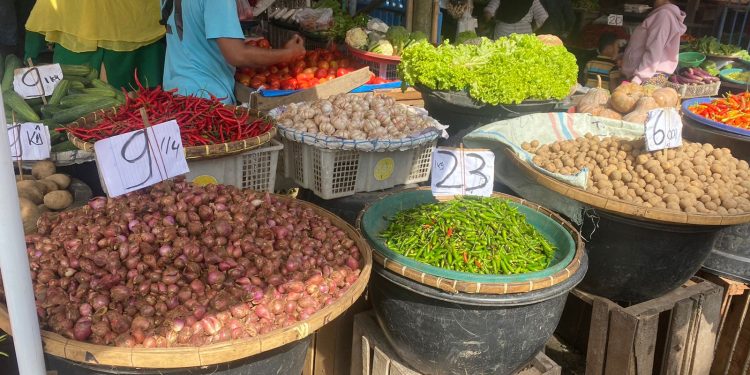 Harga cabai merah di Kota Medan semakin "pedas" seiring dengan seringnya turun hujan.