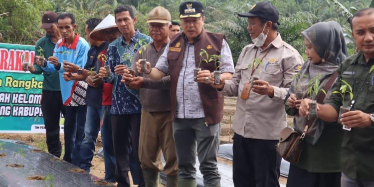 Pj Bupati Merangin Canangkan Gerakan Tanam Cabe Serentak