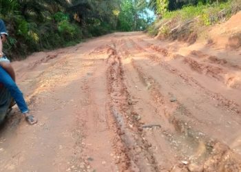 Warga Eks Transmigrasi Berharap Presiden Terpilih 2024 Lebih Memperhatikan Infrastruktur Jalan