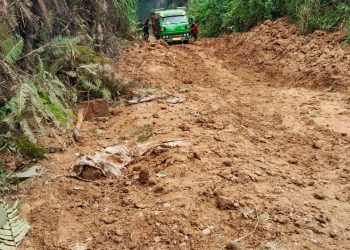 Warga Pulau Bayur Keluhkan Jalan Rusak Menuju Desa