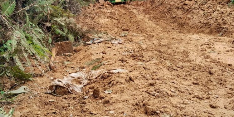 Warga Pulau Bayur Keluhkan Jalan Rusak Menuju Desa