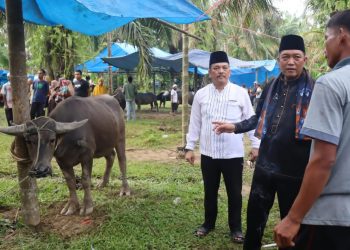 Jelang Puasa, 84 Kerbau Dibantai Secara Massal