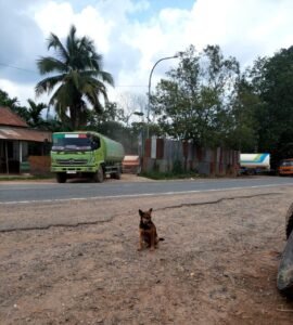 Tak Tersentuh Hukum, Gudang ‘Kencing’ CPO Milik Hr Lancar Jaya di Sudut Kota Jambi