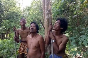 Lahan Digusur PT WKS, MHA Suku Anak Dalam Minta Jokowi Selesaikan Konflik Lahan dengan PT WKS