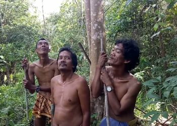 Lahan Digusur PT WKS, MHA Suku Anak Dalam Minta Jokowi Selesaikan Konflik Lahan dengan PT WKS