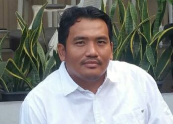 Pengamat Soroti Keseriusan Romi Hariyanto Besarkan PAN Jambi