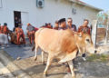Al Haris Qurban Bersama Pemuda Pancasila di Markas Pemuda Pancasila Jambi