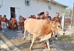 Al Haris Qurban Bersama Pemuda Pancasila di Markas Pemuda Pancasila Jambi