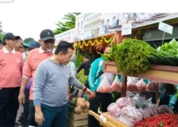 Dalam Meriahkan HUT Jambi, Al Haris Resmi Membuka Pasar Tani
