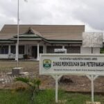 Dinas Perkebunan dan Peternakan (Disbunak) Muarojambi. (ist)